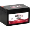 Batteria a trazione Fulbat FDC12-14 AGM 12V 13.5Ah AGM