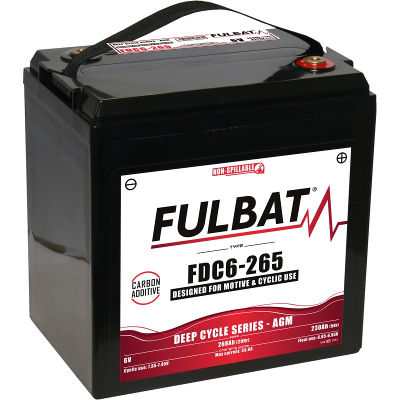 Batterie de traction Fulbat FDC6-265 AGM 6V 230Ah AGM