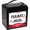 Batterie de traction Fulbat FDC6-265 AGM 6V 230Ah AGM