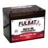 Batteria a trazione Fulbat FDC12-90 AGM 12V 77Ah AGM