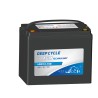 Batería para fregadora Leoch LDC12-100 12V 100Ah AGM