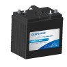 Batería de carrito de golf Leoch LDC6-210B 6V 210Ah AGM