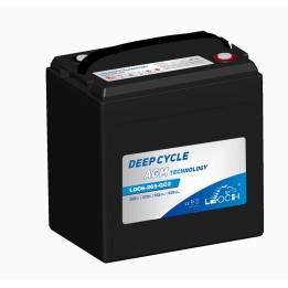 Golf cart battery Leoch LDC6-265-GC2 6V 268Ah AGM | baterias.com