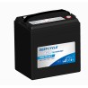 Bateria de carrinho de golfe Leoch LDC6-265-GC2 6V 268Ah AGM