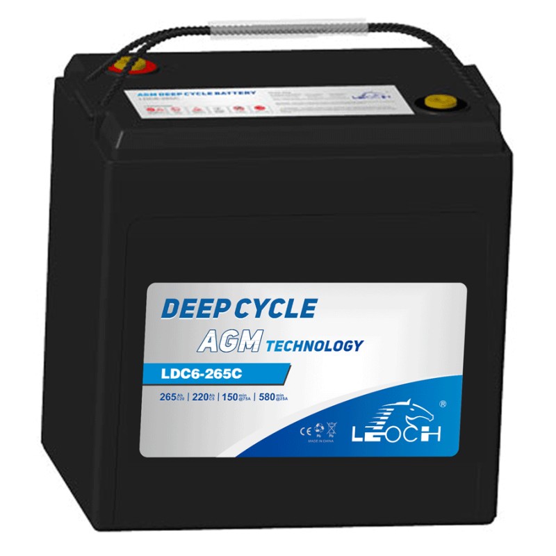 Golf cart battery Leoch LDC6-265C 6V 265Ah AGM | baterias.com