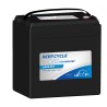 Batteria per golf cart Leoch LDC6-270 6V 270Ah AGM | baterias.com