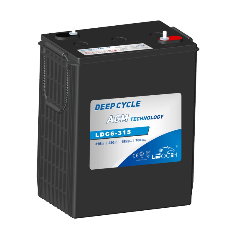 Batería de carrito de golf Leoch LDC6-315 6V 315Ah AGM