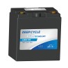 Batteria per golf cart Leoch LDC8-195 8V 195Ah AGM | baterias.com