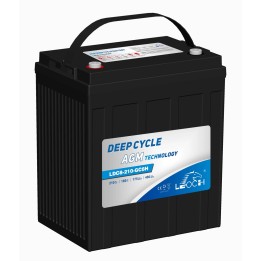 Batteria per golf cart Leoch LDC8-210-GC8H 8V 210Ah AGM