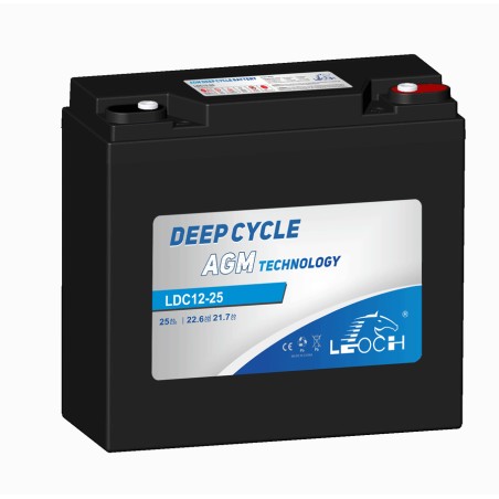Batteria per scooter di mobilità Leoch LDC12-25 12V 25Ah AGM