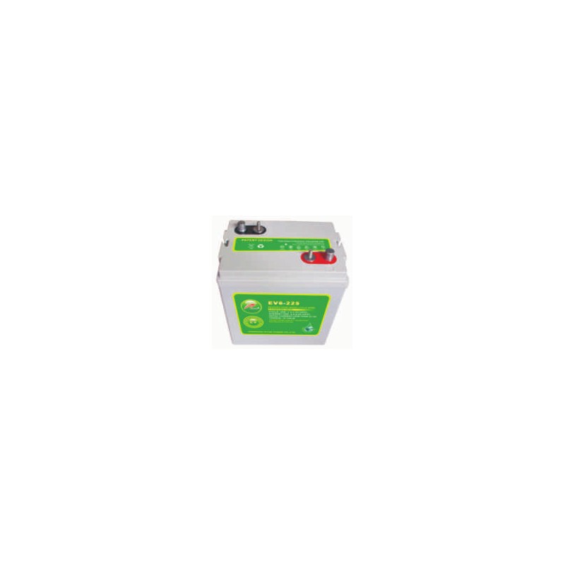 Batterie de voiturette de golf Ritar EV6-225 6V 225Ah 1035A AGM