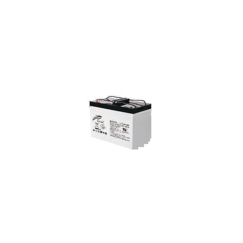 Batteria per scooter di mobilità Ritar EV12-75 12V 75Ah 470A AGM