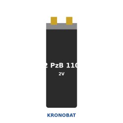 KRONOBAT 2 PzB 110