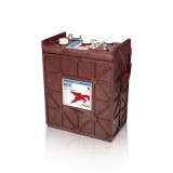 Batteria TROJAN J305P-AC 6V 330Ah