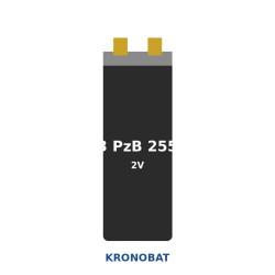 Batteria Elemento di trazione Kronobat 3 PzB 255 2V 255Ah 306Ah per Hyster S 1.0 C