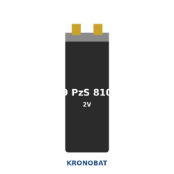 Batteria Elemento di trazione Kronobat 9 PzS 810 2V 810Ah 972Ah per Doosan - Daewoo B 25