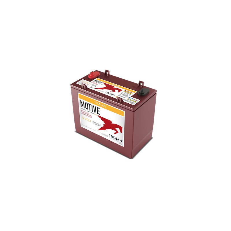Trojan T1275-AES