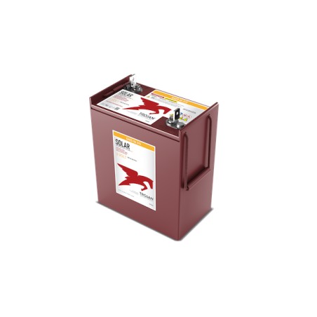 Trojan SAES 06 315