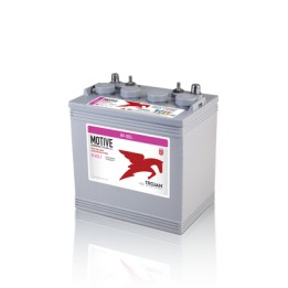 Batterie TROJAN 8V-GEL 8V 140Ah GEL