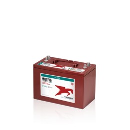 Batterie TROJAN 31-AGM 12V 100Ah AGM