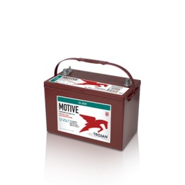 Batteria TROJAN 24-AGM 12V 76Ah AGM