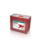 Batería TROJAN 12-AGM 12V 140Ah AGM