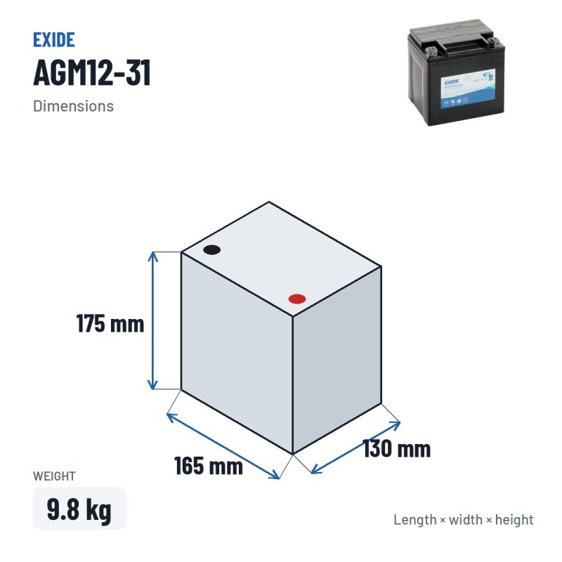 Batteria moto Exide AGM12-31 12V 30Ah 430A AGM – dimensioni 165 × 130 × 175 mm