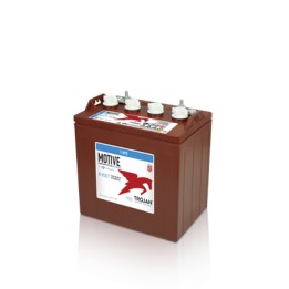 Batteria TROJAN T-890 8V 190Ah