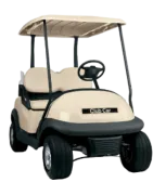 Golf Buggy Batterien