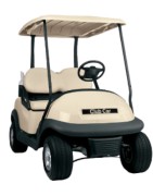 Golf Buggy Batterien
