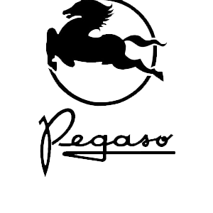 PEGASO