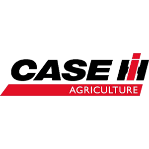 CASE INTERNATIONAL