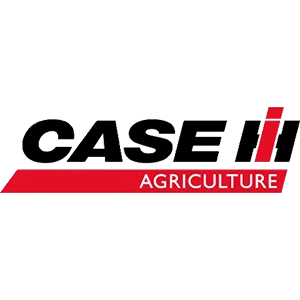CASE INTERNATIONAL