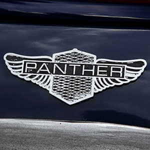 Panther